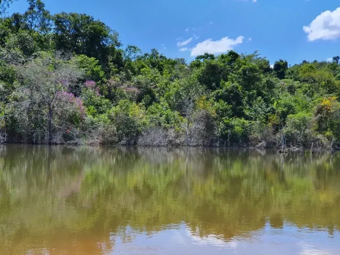 Fazendinhas de 20.000m2 com Pagamento Facilitado Perto de Sete Lagoas