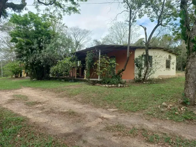 Excelente Sítio em Vila Rica à apenas 10 minutos do centro de Itaboraí.