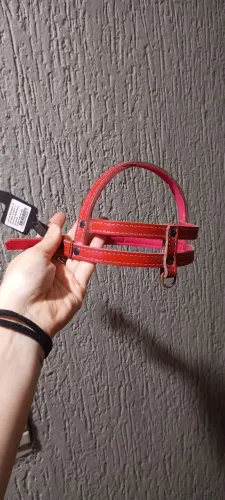 Coleira para Pet 