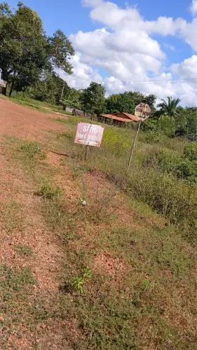 Terreno dentro do roncador