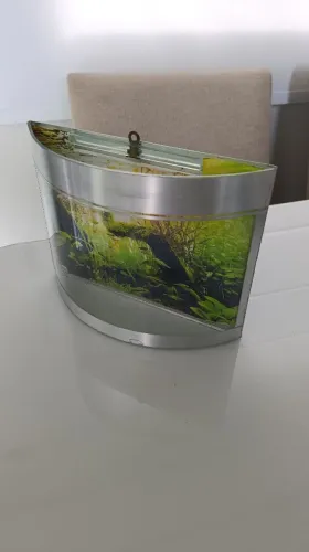 Aquário para Betta