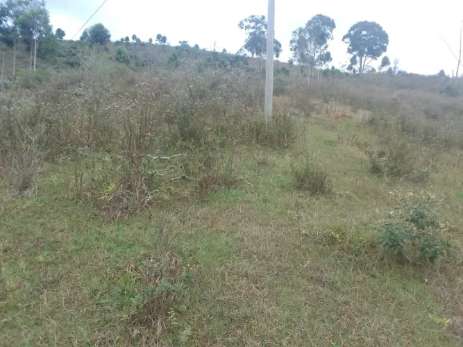 Oportunidade Rara na Região: Sítio de 8 Hectares por apenas R$ 130.000!