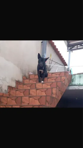 Doação