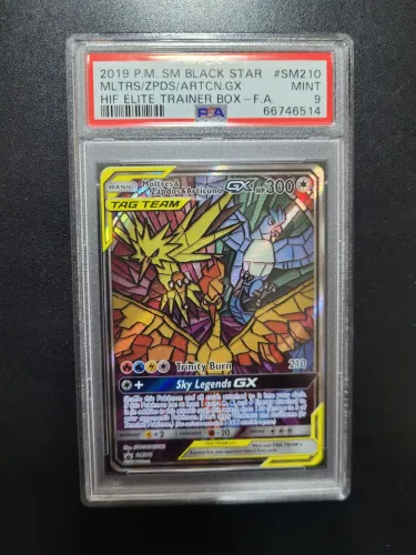 Moltres & Zapdos & Articuno Vitral PSA9