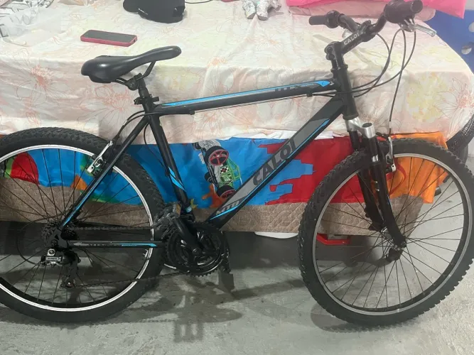 Bicicleta
