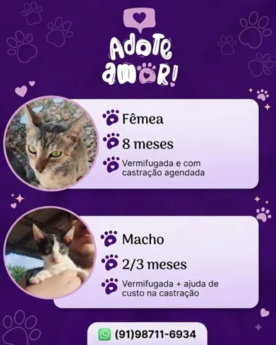 Adoção em Belém, Ananindeua e Icoaraci