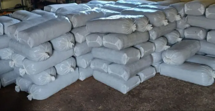 Silagem de sorgo