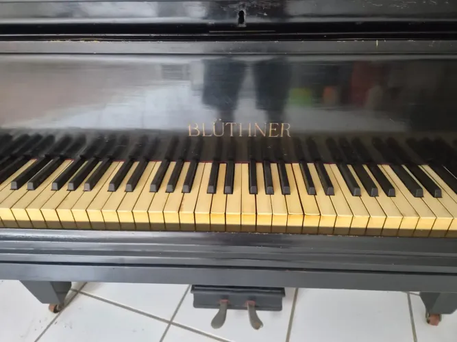 Piano de Cauda Blüthner Original