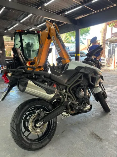 Vendo tiger