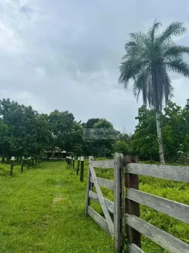Fazenda à venda, 400000 m² por R$ 1.100.000,00 - Rural - Nossa Senhora do Livramento/MT