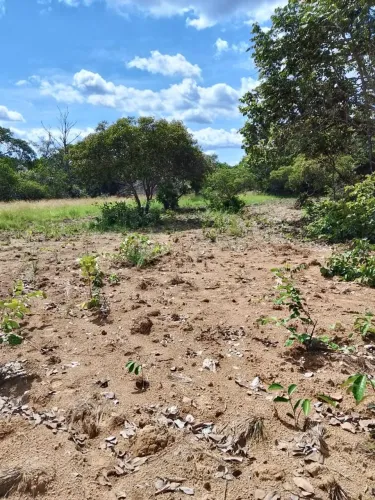 Chácara à beira do rio coco