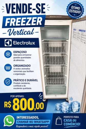 Freezer vertical Electrolux
