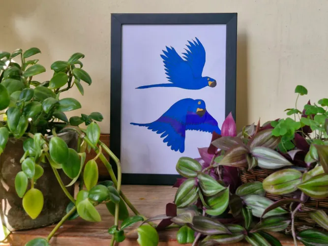 Quadro Arte Original