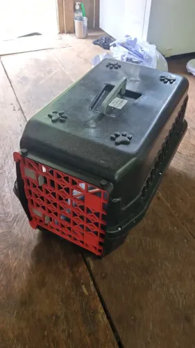 Caixa transporte pet
