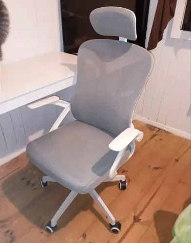 Cadeira Ergonômica Glorius