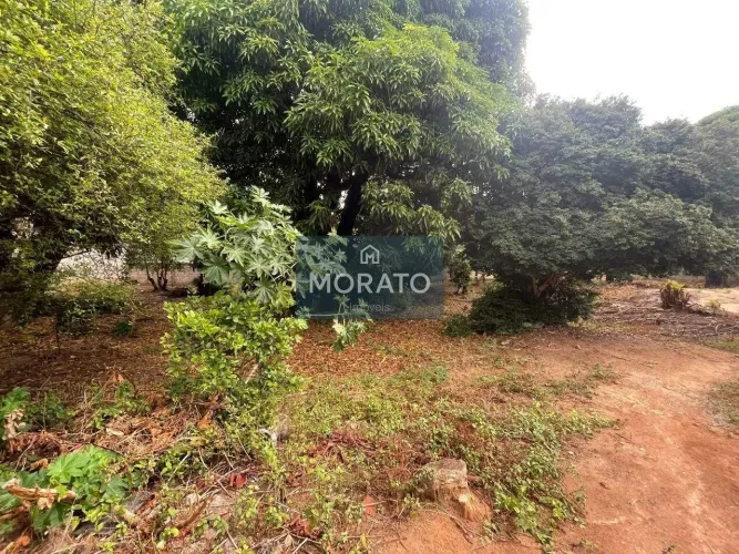 Lote 400 metros quadrados no Novo Progresso.