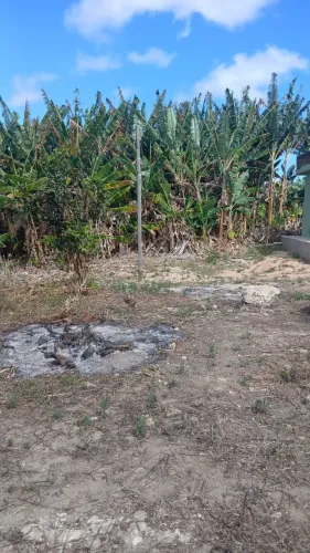 Terreno aproximadamente 300M² Altamira - Nova União