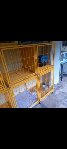 Gaiola p animais