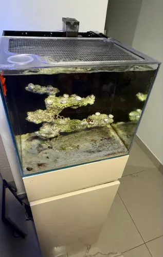 Aquario + móvel + tela + substrato