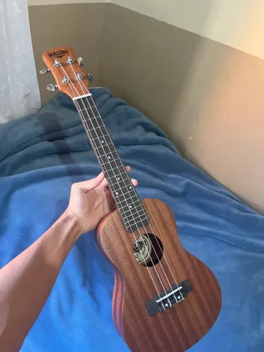 Ukulele Malibu 