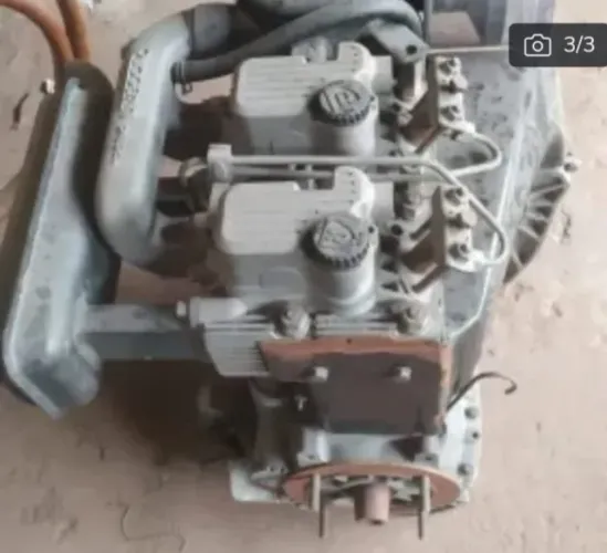 Motor ruggerine 22 HP diesel