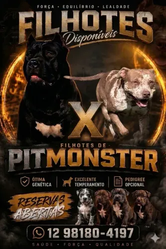 Filhotes de Pitmonster ?