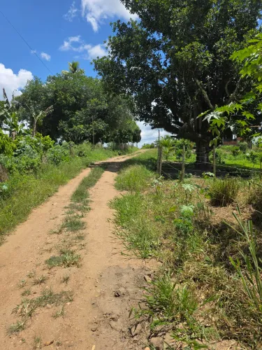 Vendo lote em Santo Antônio de Jesus Bahia zona rural