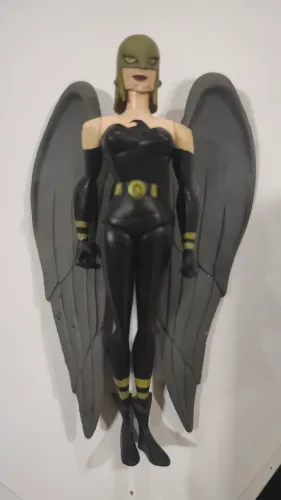 Mulher Gavião LORD Liga da Justiça Justice League DC JLU