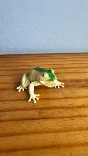 Sapo infantil verde