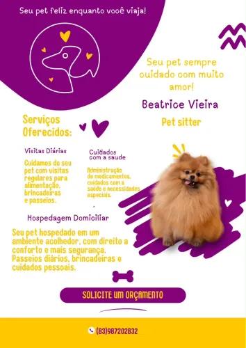 PET SITTER