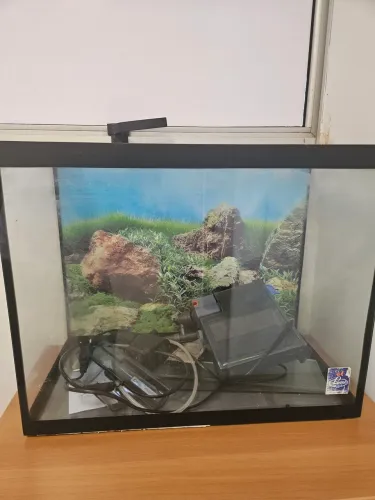 Aquário 50 Litros