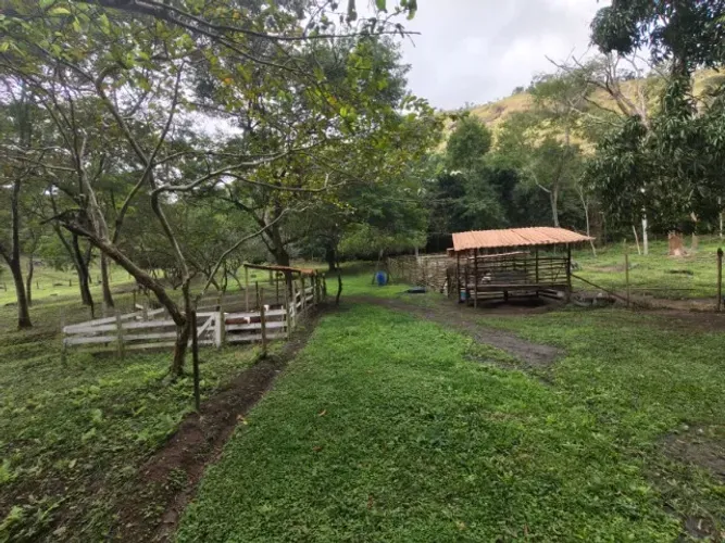 Sítio Maricá com 244mil m², córrego e nascentes