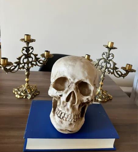 Caveira Decorativa Resina Crânio Humano Realista Halloween Decoração Gótica