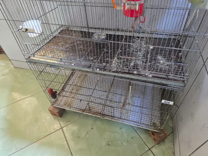Gaiolas para criação de calopsita ou outros fins,
