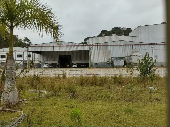 Comercial/Industrial em Leilão - Barra Alegre - Bom Jardim - RJ