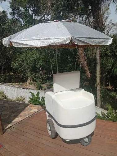 Carinho térmico 2500,00