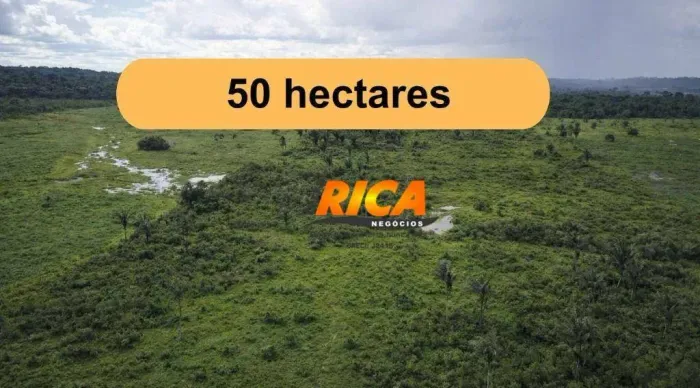 SÍTIO  ÁGUA, PRODUÇÃO E TRANQUILIDADE A 30 KM DE ITAPUÃ DO OESTE!