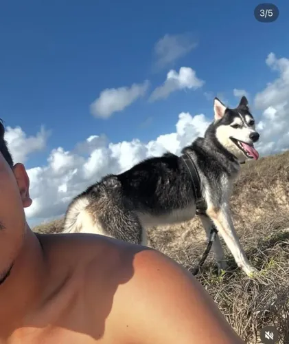 E um cachorro que está para doação