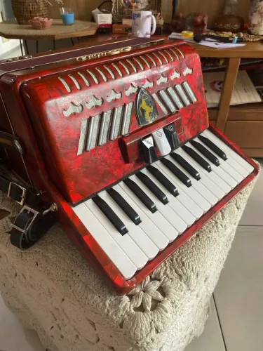SANFONA 48 BAIXOS ACORDEON