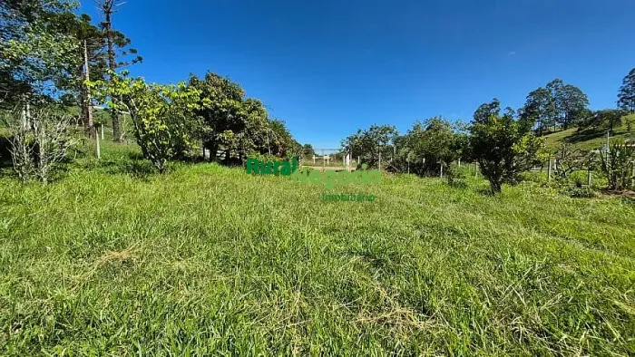 SÍTIO FORMADO COM FÁCIL ACESSO EM LAGOINHA-SP