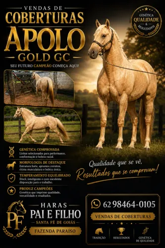 Cavalo quarto de milha