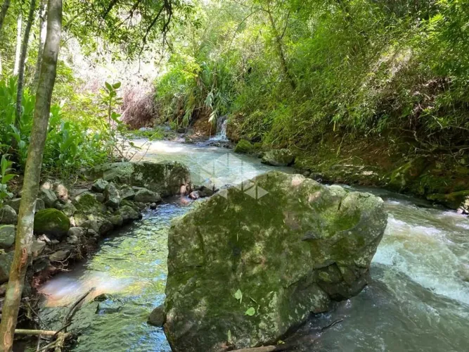 Linda área com Riacho na Serra Gaúcha