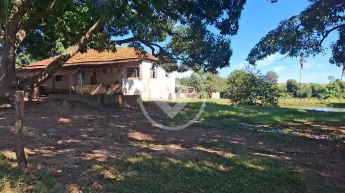 Fazenda à venda em Caldas Novas GO com 213 hectares, estrutura completa e plantio de soja 