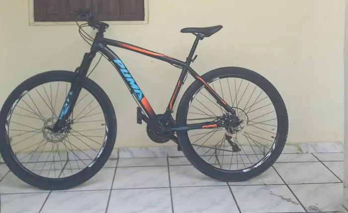 Bike aro 29