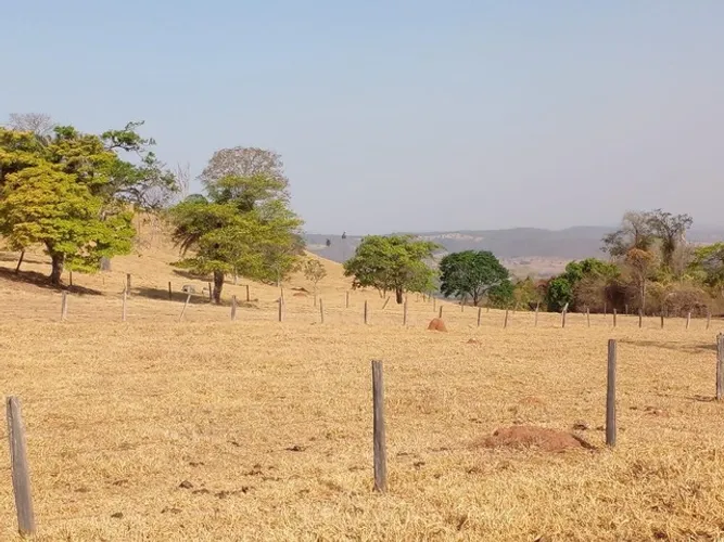 Fazenda de 65 alqueires em Córrego do ouro-Go 