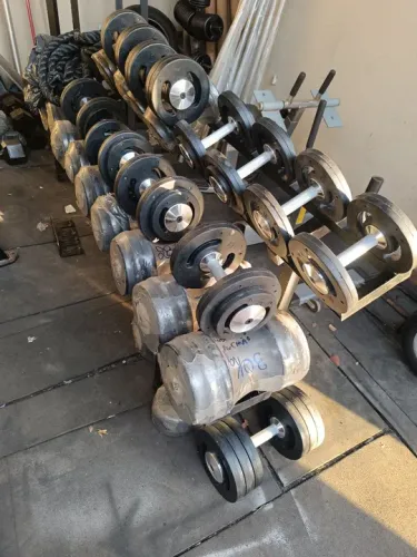 Dumbells e caneleiras novas