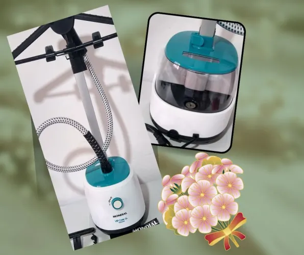 Passadeira a vapor