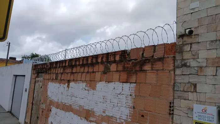 Concertina / Serpentina 