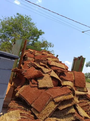 GRAMAS JA PLANTADAS A PARTIR DE 9 REAIS ..