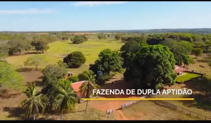 Fazenda 164 Alq. Dupla Aptidão. 45 km de Paraíso do Tocantins/TO, 130 km de Palmas/TO.